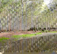 Wonga Wetlands - Lightning Ridge Tourism