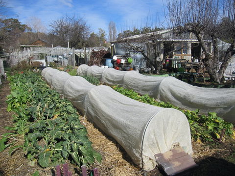 Wynlen House: Tour A Unique Urban Regenerative Farm And Market Garden - Lightning Ridge Tourism 0