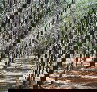 Yana-y Warruwi Walking Track - Lightning Ridge Tourism