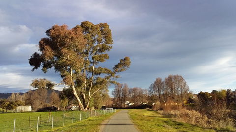 Adelong Falls Walk - Lightning Ridge Tourism 0