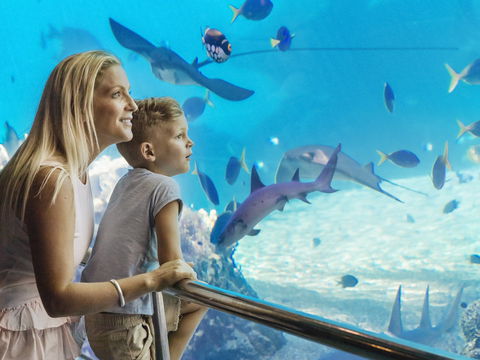 Australia's Sea World - Lightning Ridge Tourism 2