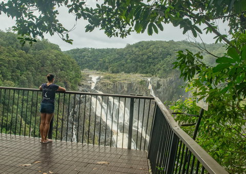 Barron Falls Lookout Track, Barron Gorge National Park - Lightning Ridge Tourism 1