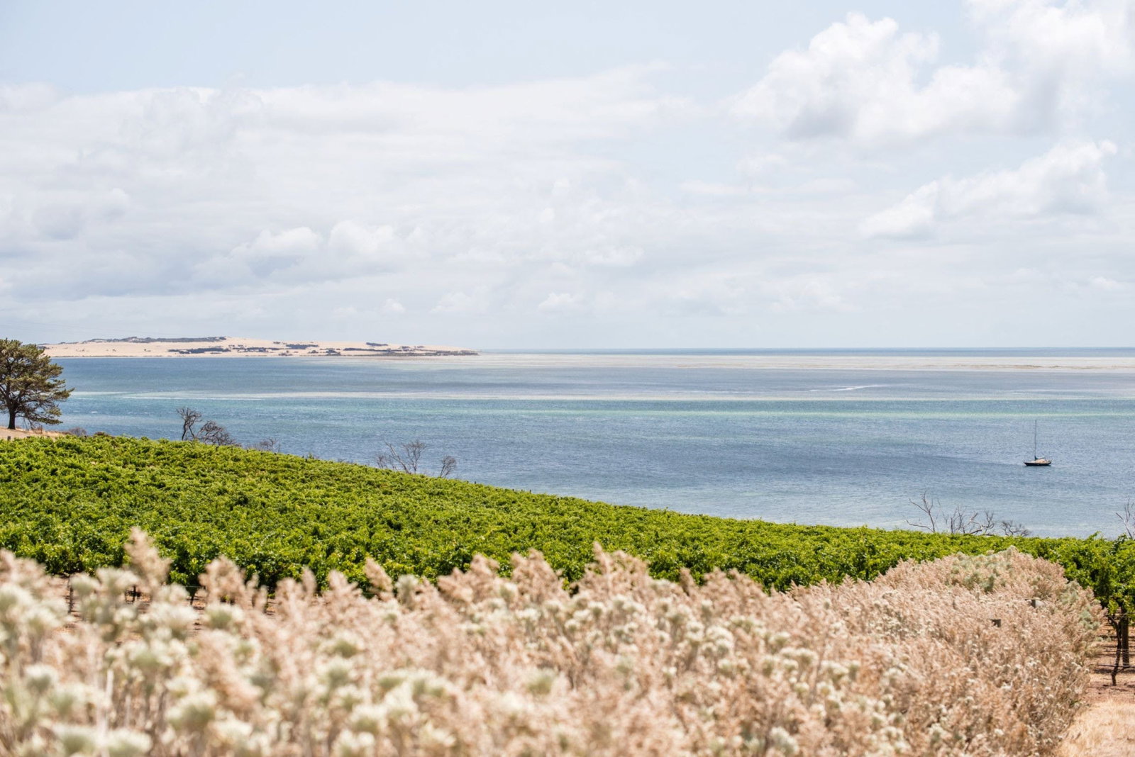  Lightning Ridge Tourism