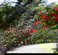 Benalla Botanical Gardens - Lightning Ridge Tourism