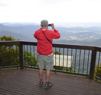 Best of All lookout track Springbrook National Park - Lightning Ridge Tourism
