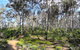 Bibbulmun Track - thumb 1