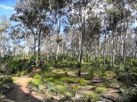 Bibbulmun Track - Lightning Ridge Tourism 1