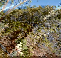 Boonoo Boonoo Falls picnic area - Lightning Ridge Tourism