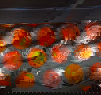 Bottle House and Mining Museum - Lightning Ridge Tourism