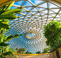 Brisbane Botanic Gardens Mount Coot-tha - Lightning Ridge Tourism
