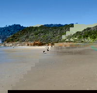 Broken Head Nature Reserve - Lightning Ridge Tourism