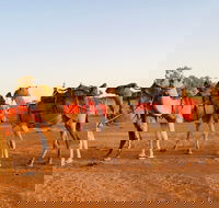 Broken Hill Camels - Lightning Ridge Tourism