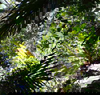 Byrrill Creek Walking Track - Lightning Ridge Tourism