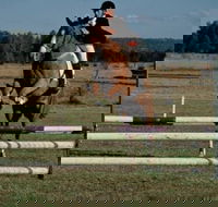 Camden Bicentennial Equestrian Park - Lightning Ridge Tourism