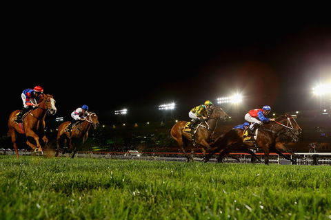 Canterbury Park Racecourse - Lightning Ridge Tourism 0