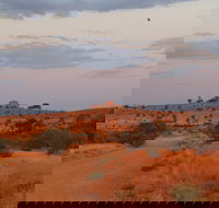 Castle Rock walk and Lookout - Lightning Ridge Tourism