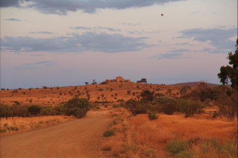 Castle Rock Walk And Lookout - Lightning Ridge Tourism 0