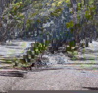 Coolah Tops National Park - Lightning Ridge Tourism
