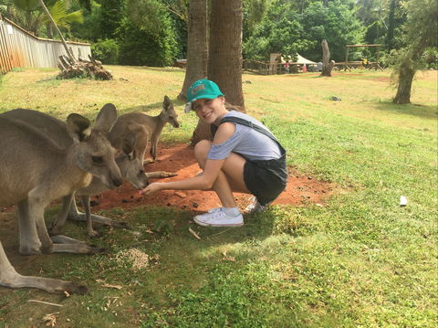 Cooberrie Park Wildlife Sanctuary - Lightning Ridge Tourism 1