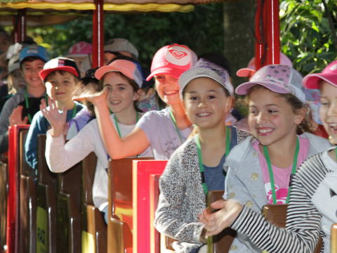Currumbin Wildlife Sanctuary - Lightning Ridge Tourism 1