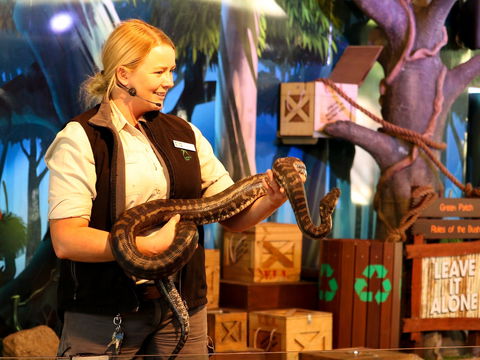 Currumbin Wildlife Sanctuary - Lightning Ridge Tourism 2