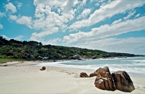 Fishermans Bay Foreshore - Lightning Ridge Tourism 0