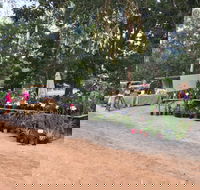 Fred's Pass Rural Market - Lightning Ridge Tourism