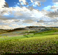 Hodgson Vale - Lightning Ridge Tourism