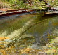 Hominy Creek Walking Track - Lightning Ridge Tourism