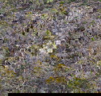 Horsnell Gully and Giles Conservation Parks - Lightning Ridge Tourism