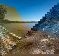 Jewfish Walk - Lightning Ridge Tourism