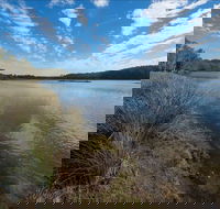 Lake Innes Nature Reserve - Lightning Ridge Tourism