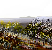 Mount View - Lightning Ridge Tourism