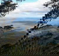 Mount Imlay National Park - Lightning Ridge Tourism
