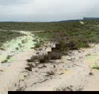 Ngarkat Conservation Park - Lightning Ridge Tourism