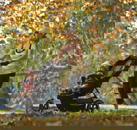 Noreuil Park - Lightning Ridge Tourism