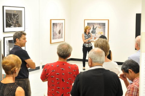 Pine Rivers Art Gallery - Lightning Ridge Tourism 1