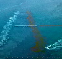 Port Noarlunga Reef Sanctuary Zone - Encounter Marine Park - Lightning Ridge Tourism
