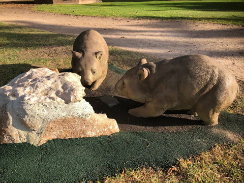 Queen Square, Moonta - Lightning Ridge Tourism 1