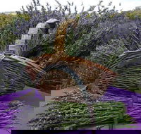 Rustique Lavender Farm - Lightning Ridge Tourism