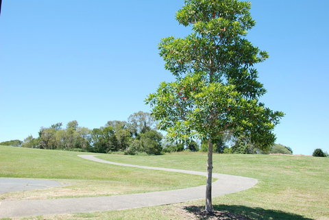 Samford Valley Rail Trail - Lightning Ridge Tourism 2