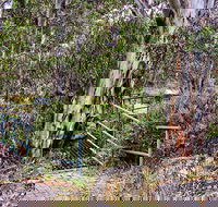 Sawpit Walking Track - Lightning Ridge Tourism