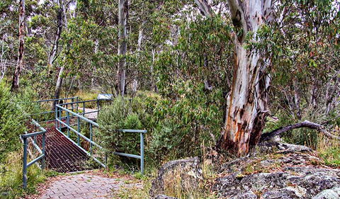 Sawpit Walking Track - Lightning Ridge Tourism 0