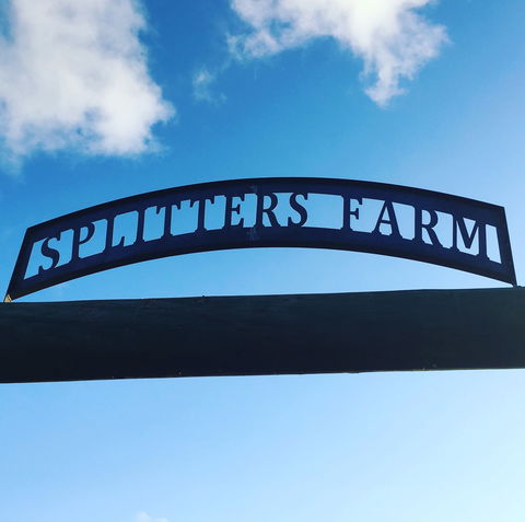 Splitters Farm - Lightning Ridge Tourism 2