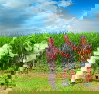 The Shed Gallery - Lightning Ridge Tourism