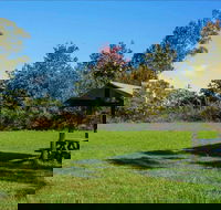 Tunks Hill picnic area - Lightning Ridge Tourism