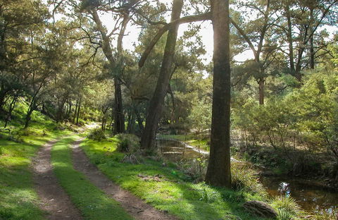 Turon National Park - Lightning Ridge Tourism 0