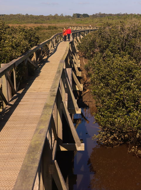 Warringine Park & Bittern Coastal Wetlands Boardwalk - Lightning Ridge Tourism 0