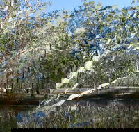 Wongi State Forest - Lightning Ridge Tourism