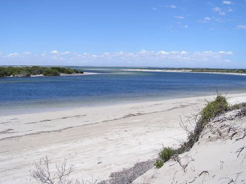 Acraman Creek Conservation Park - Lightning Ridge Tourism 0